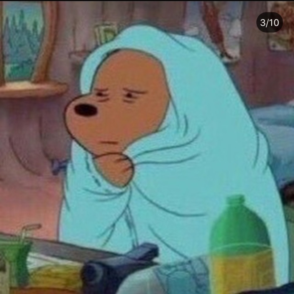 Meet your Posher, Rueshika